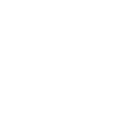 Pomas Friet